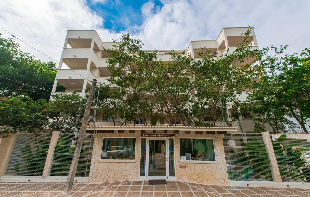 Condo Casa Del Arbol プレヤデルカーメン 部屋 写真